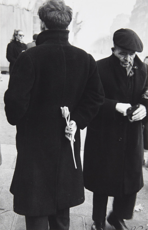paris-new-year-young-man-with-tulip-1949-robert-frank